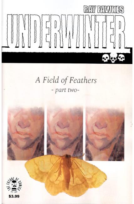 Underwinter Field of Feathers #2 [Image Comic] THUMBNAIL