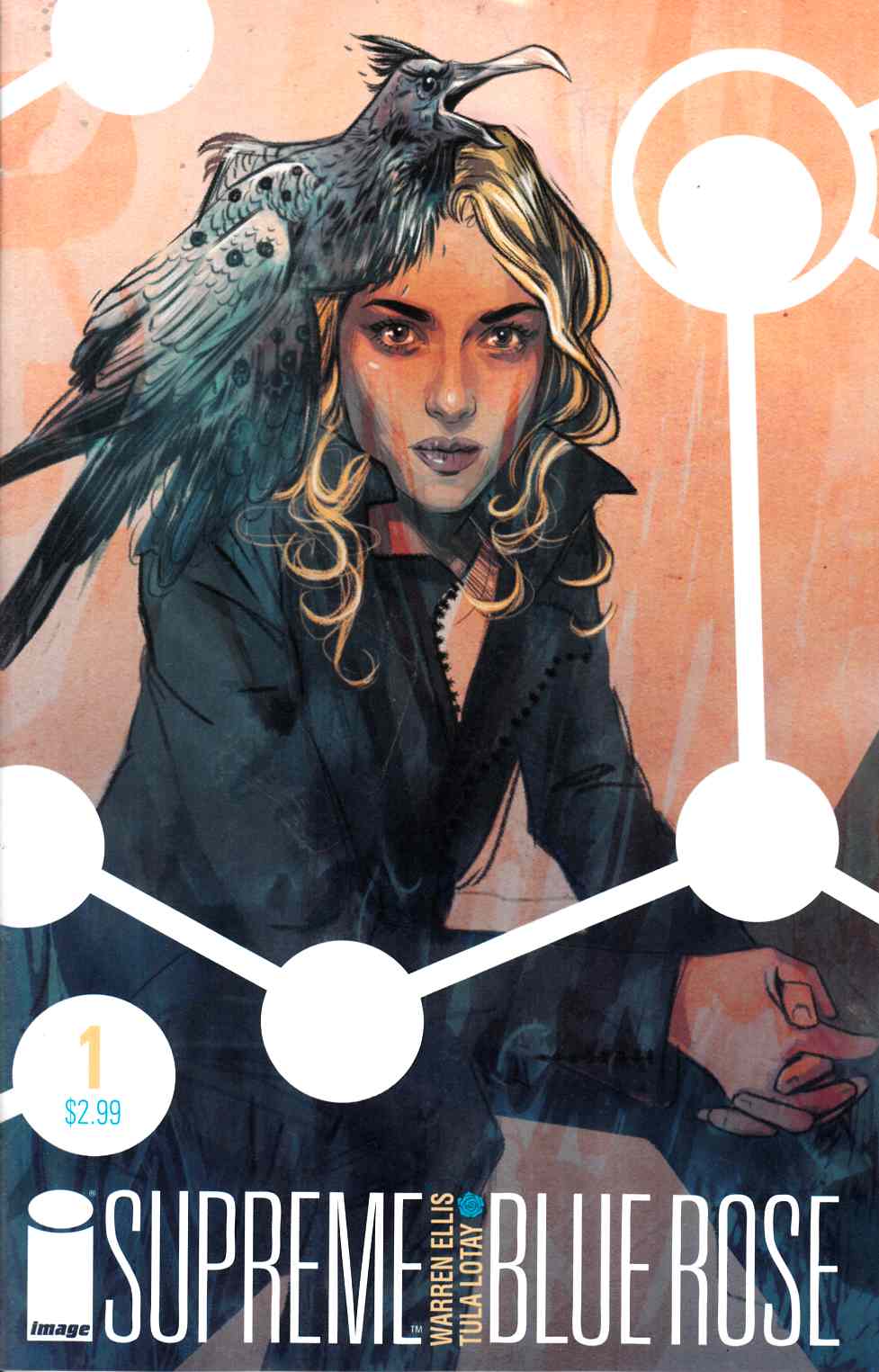Supreme Blue Rose #1 [Comic] LARGE