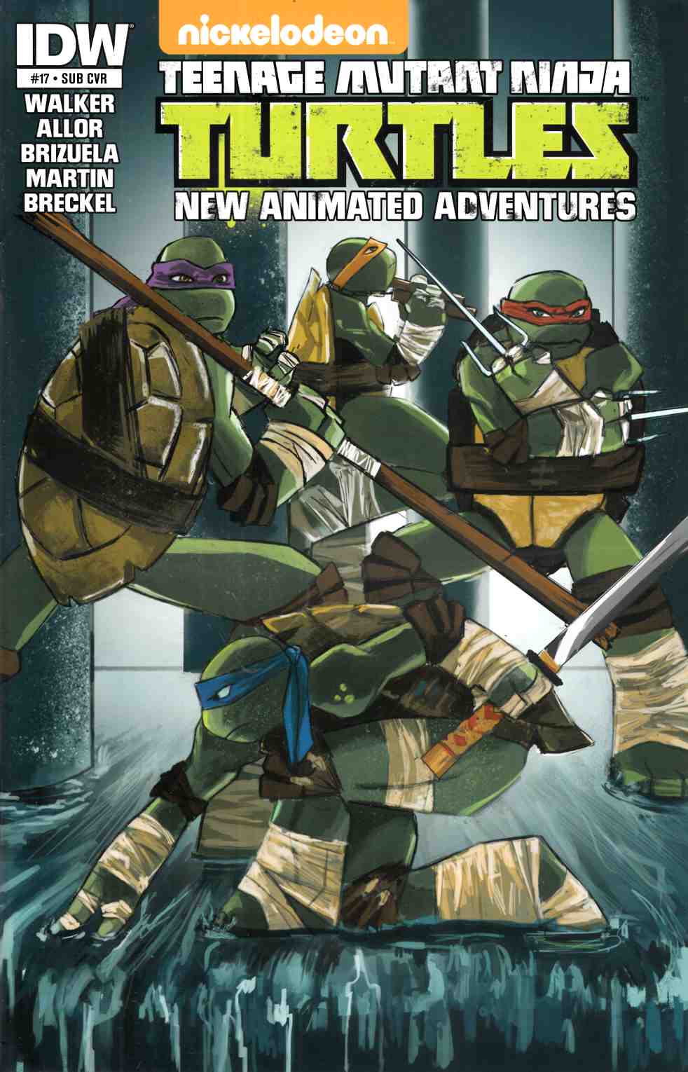 Teenage Mutant Ninja Turtles New Animated Adventures #17 Subscription Cover [IDW Comic] THUMBNAIL