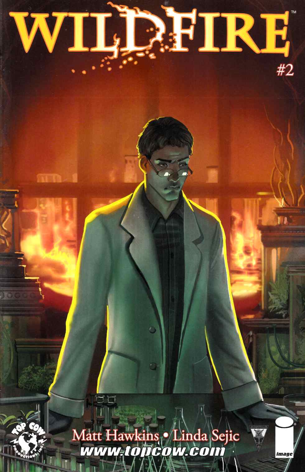 Wildfire #2 Cover A- Linda Sejic [Comic] LARGE