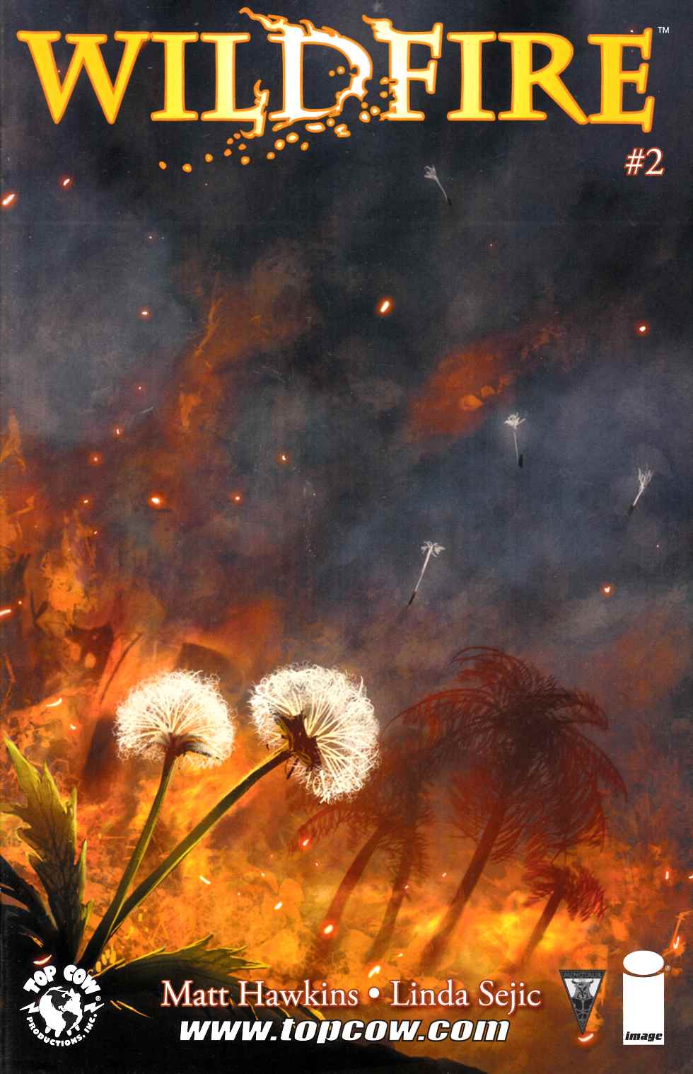 Wildfire #2 Cover B- Stjepan Sejic [Comic] THUMBNAIL