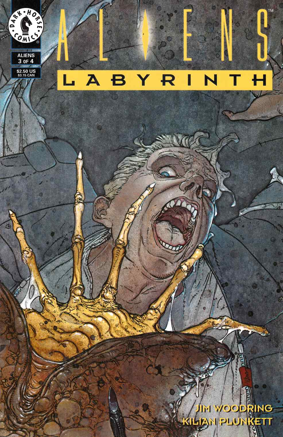 Aliens Labyrinth #3 Very Fine (8.0) [Dark Horse Comic] THUMBNAIL