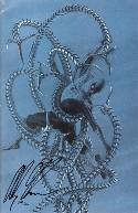 Amazing Spider-Man #600 DF Ross Signed Cover Fine (6.0) [Marvel Comic] THUMBNAIL