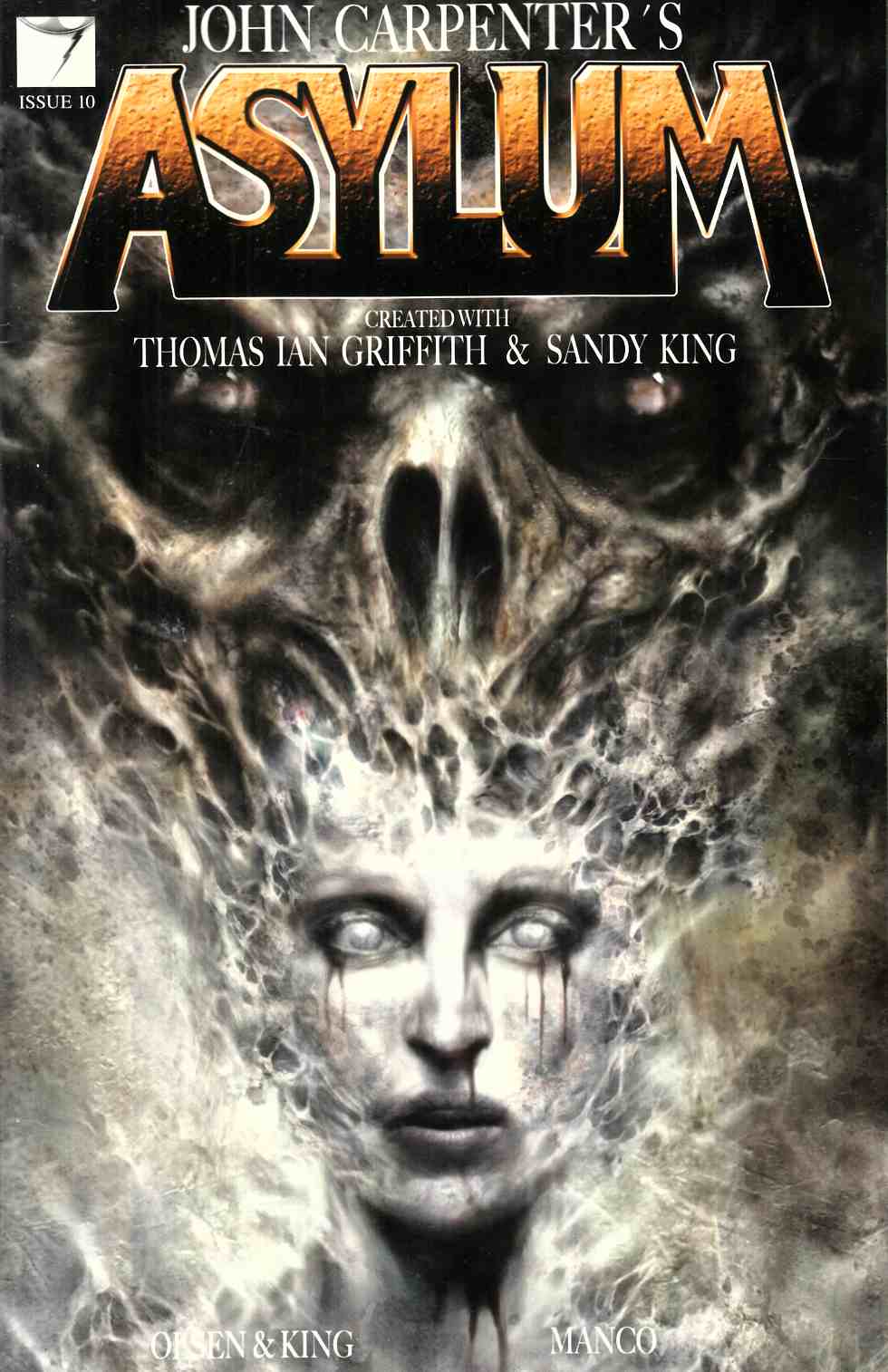 John Carpenters Asylum #10 [Storm King Comic] THUMBNAIL
