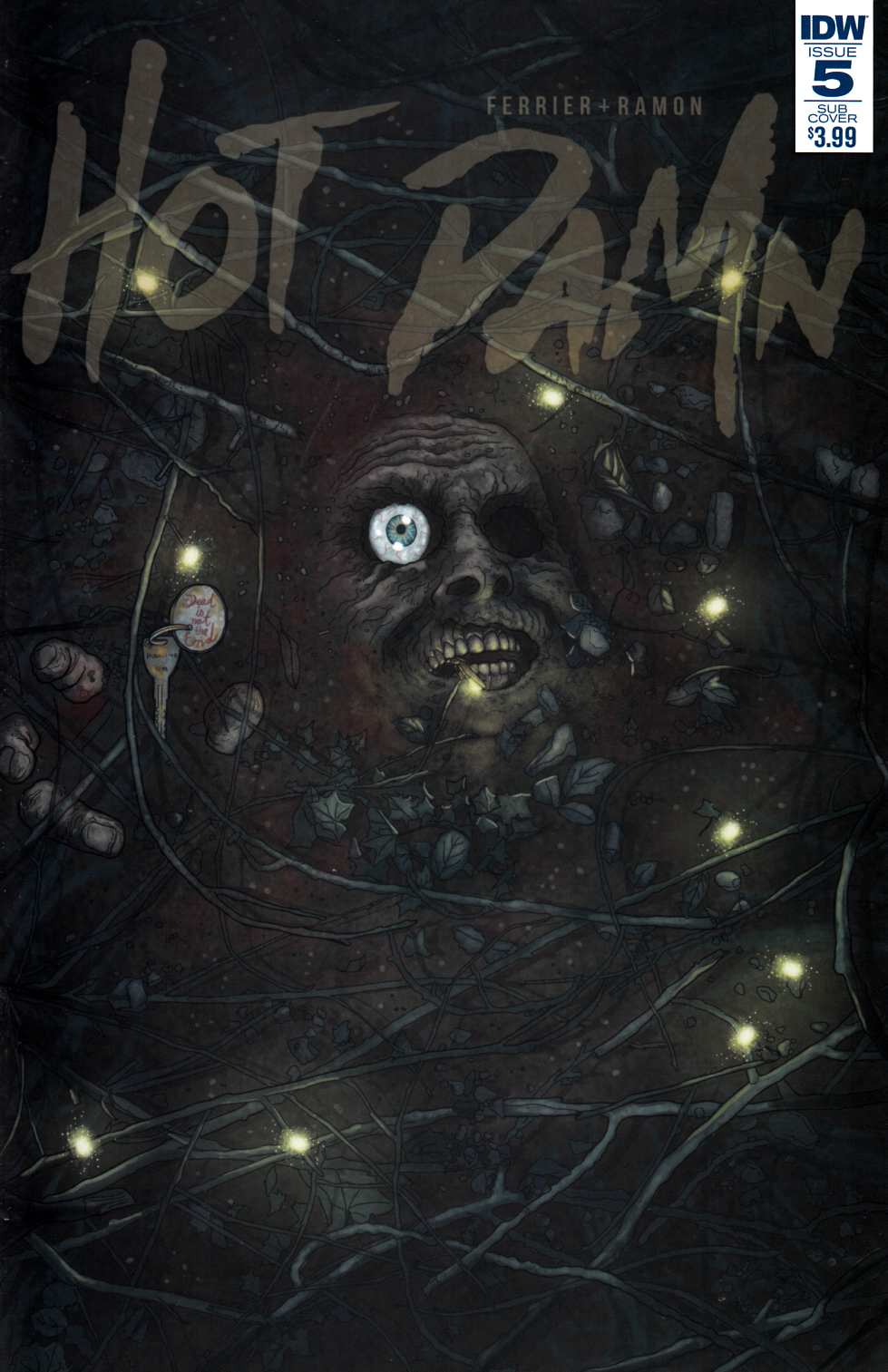 Hot Damn #5 Subscription Cover [IDW Comic] THUMBNAIL