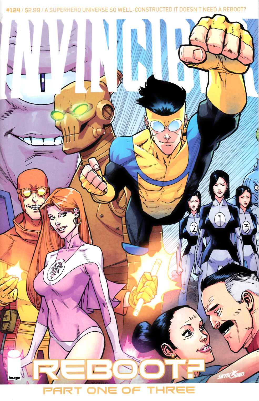 Invincible #25 Near Mint (9.4) [Image Comic] – Dreamlandcomics.com Online  Store