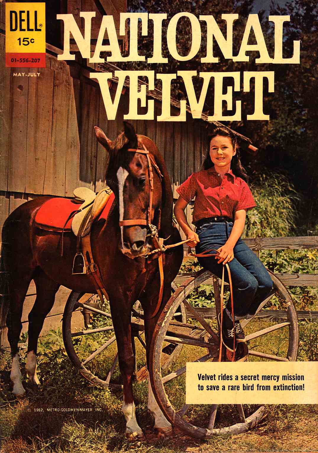 National Velvet #207 [Dell Comic] LARGE