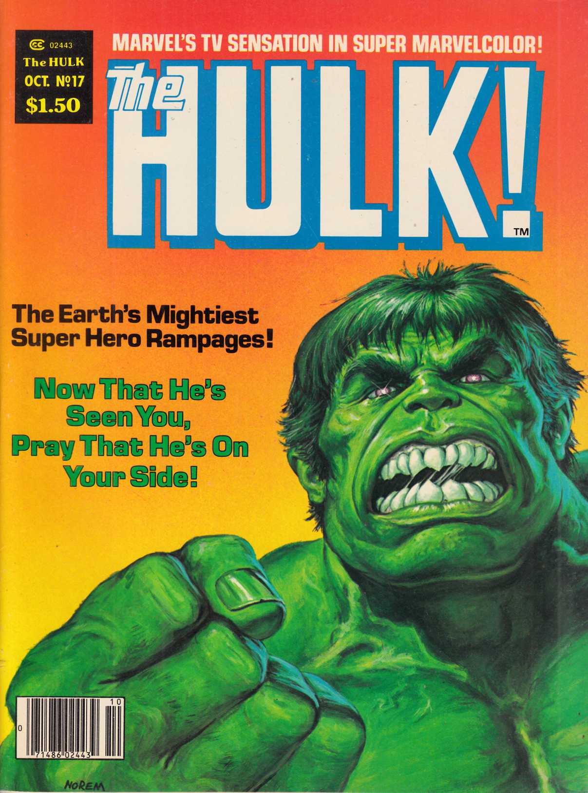 Rampaging Hulk #17 Fine/Very Fine (7.0) [Marvel Magazine] LARGE