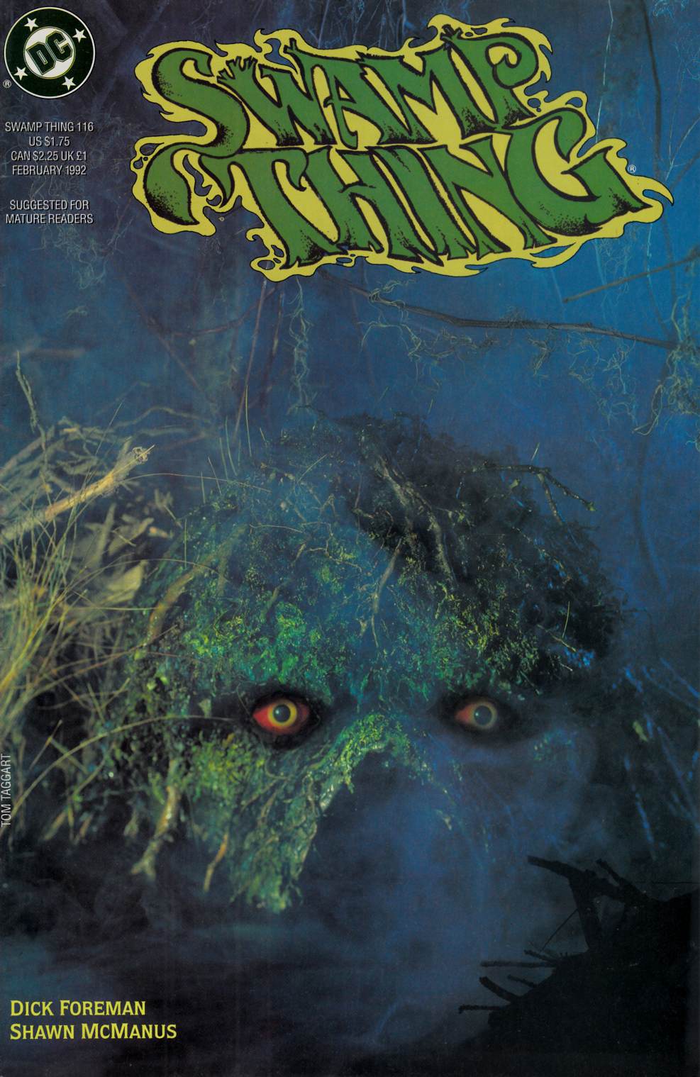 Saga of the Swamp Thing #116 Near Mint (9.4) [DC Comic] THUMBNAIL