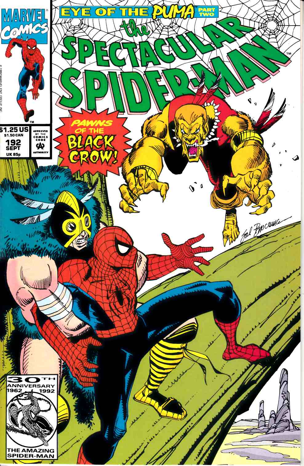 Spectacular Spider-Man #192 Near Mint (9.4) [Marvel Comic] LARGE