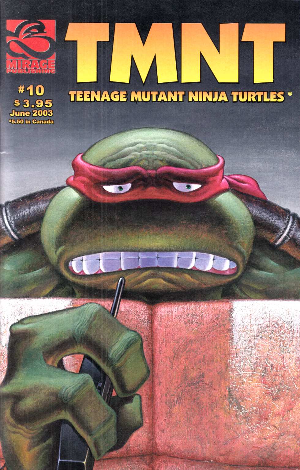 Teenage Mutant Ninja Turtles #10 Very Fine (8.0) [Mirage Comic] THUMBNAIL