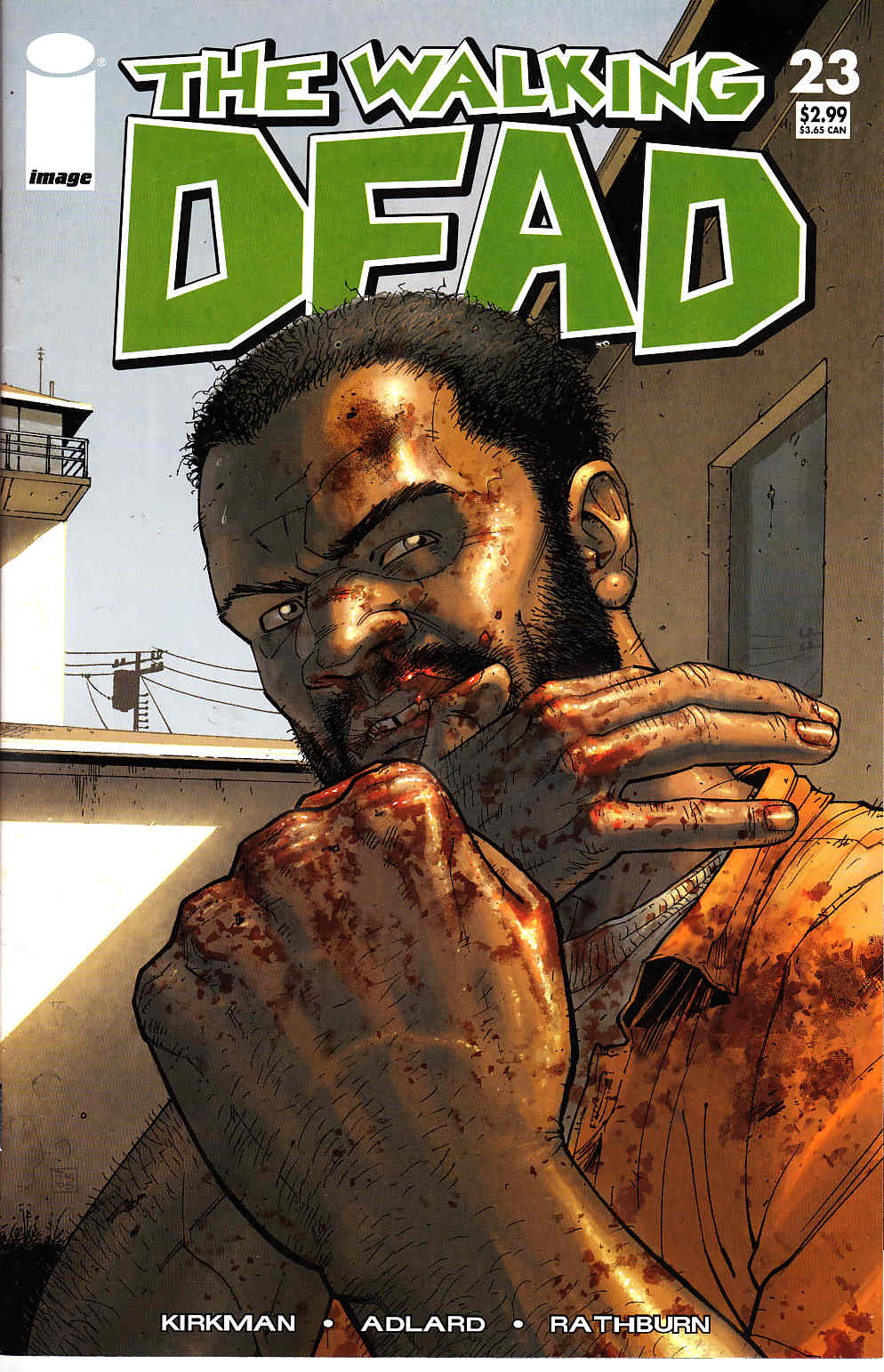 Walking Dead #23 [Image Comic]