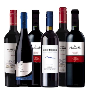 Merlot 6 Pack LARGE