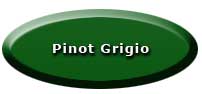 Pinot Grigio