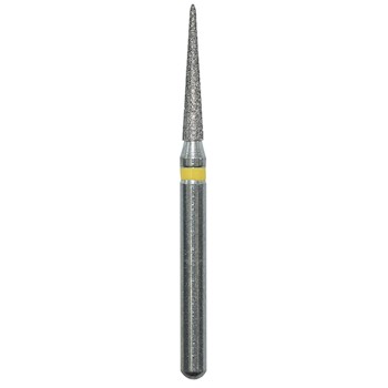 Pointed Cone  165014XF MAIN