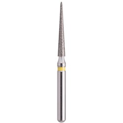 Pointed Cone  166016XF THUMBNAIL