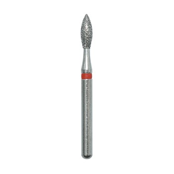 Bud  257018F MAIN