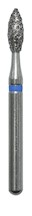 Bud  257018M MAIN