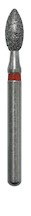 Bud  257020F MAIN