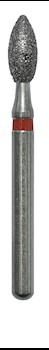 Bud  257020F MAIN