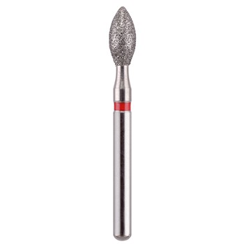 Bud  257023F MAIN