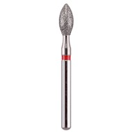 Bud  257023F MAIN