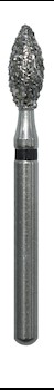Bud  257023XC MAIN