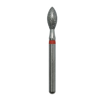 Bud  257025F MAIN