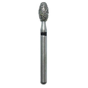 Egg  277023XC MAIN