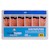 Classic Fit EdgeTaper Encore™ Gutta Percha Points™ SWATCH