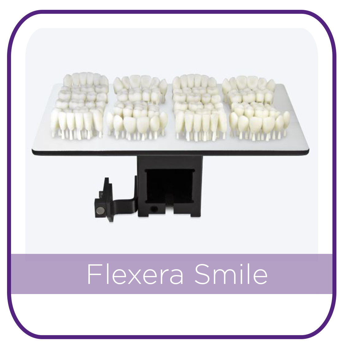 Flexcera Smile MAIN