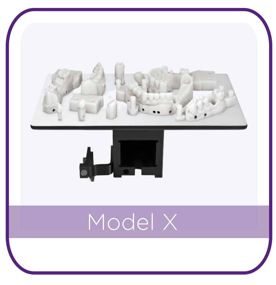 Model X MAIN