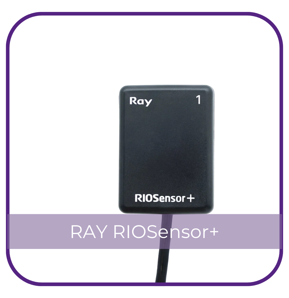 RIOsensor+ Intraoral Sensor THUMBNAIL