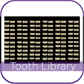 EXOCAD TOOTH LIBRARY ZRS MAIN