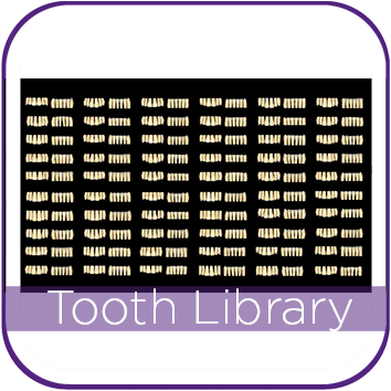 EXOCAD TOOTH LIBRARY ZRS MAIN