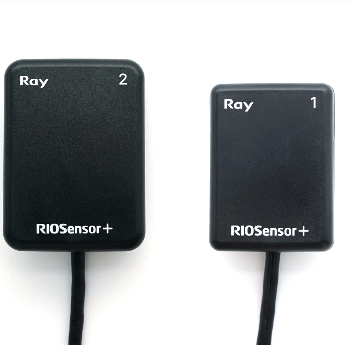 RIOsensor+ Intraoral Sensor LARGE