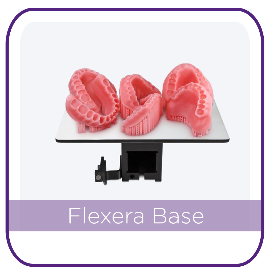 Flexcera Base MAIN