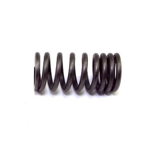 Fat Bob's Garage, OMIX-ADA Part #17409.01, Valve Spring Intake/Exhaust MAIN
