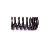 Fat Bob's Garage, OMIX-ADA Part #17409.01, Valve Spring Intake/Exhaust THUMBNAIL