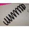 Fat Bob's Garage, OMIX-ADA Part #18282.10, Coil Spring Heavy Duty Front THUMBNAIL