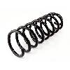 Fat Bob's Garage, OMIX-ADA Part #18282.11, Coil Spring Rear THUMBNAIL