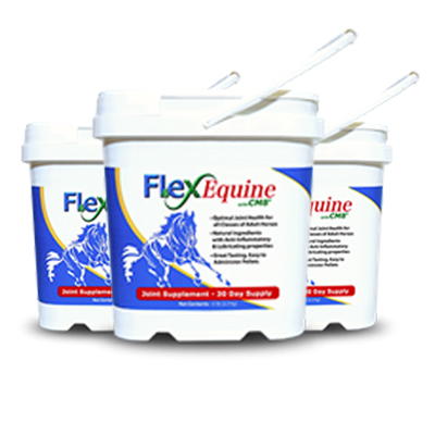 FlexEquine <br> 3 Month Supply MAIN