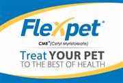 FREE Flexpet Car Magnet THUMBNAIL