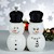 Snowfriend Saltshaker & Pepper Mill Set SWATCH