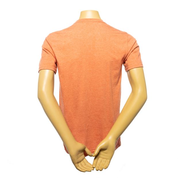 Green Zebra Tee - Heather Bronze SWATCH