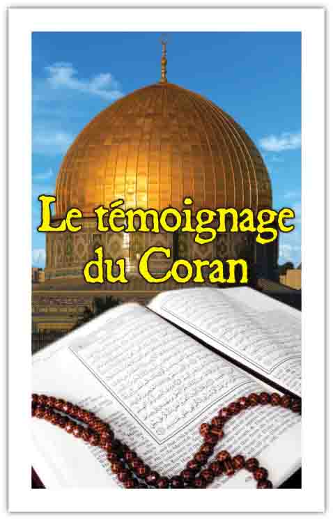 Tract 2403 THUMBNAIL