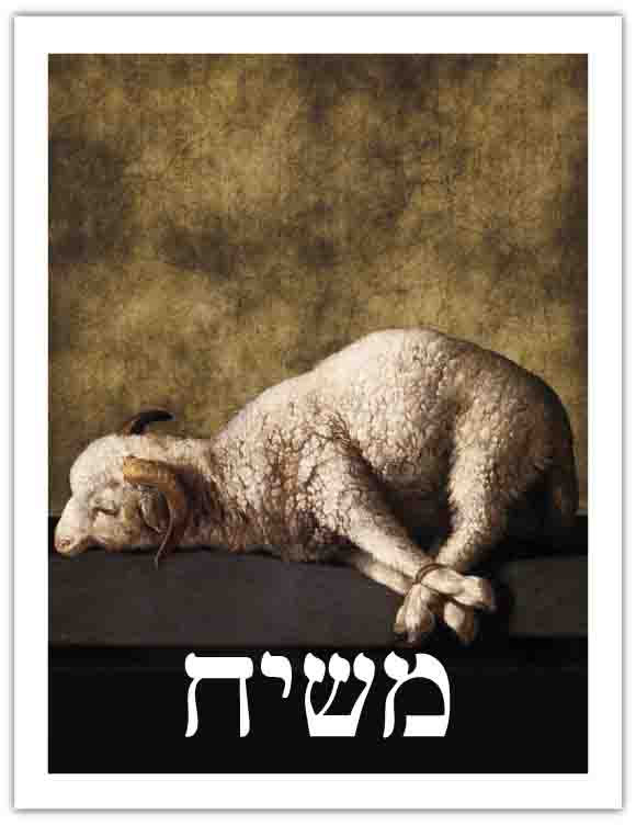 Tract 4530 THUMBNAIL