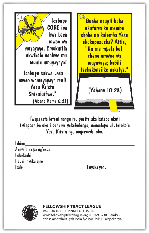 Tract 8230 SWATCH