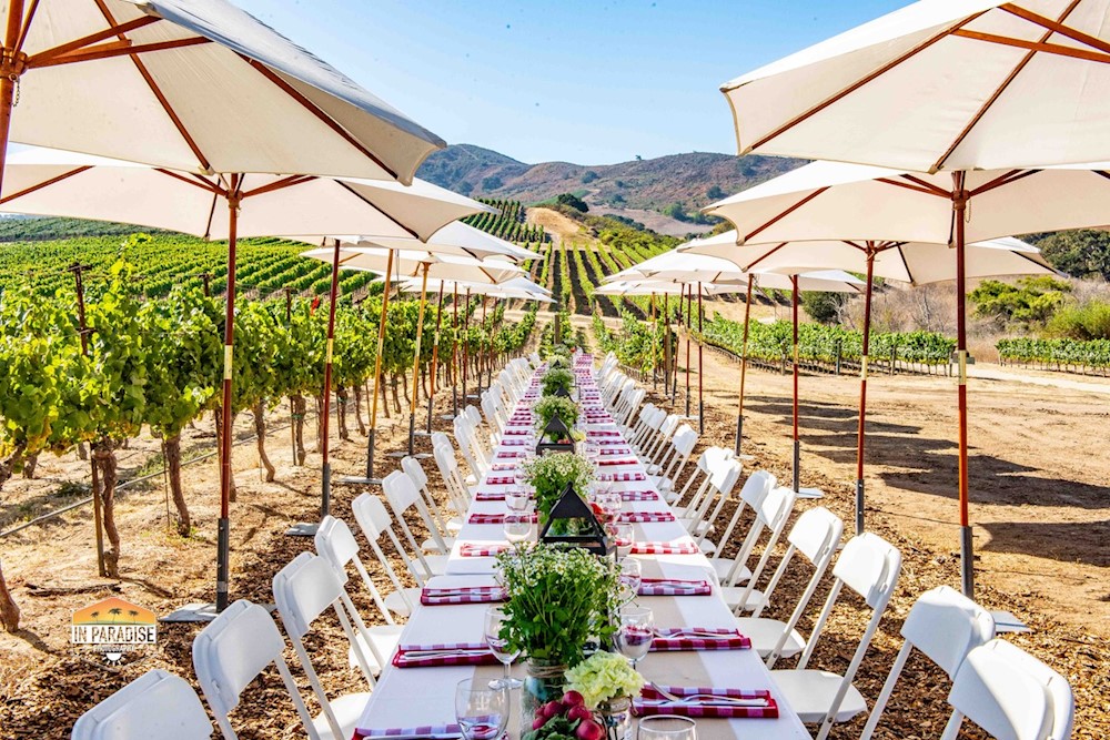 Evan’s Ranch Foot Stomp & Harvest Brunch | Oct 4 LARGE