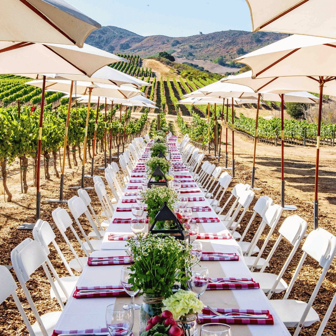 Evan’s Ranch Foot Stomp & Harvest Brunch | Oct 4 MAIN